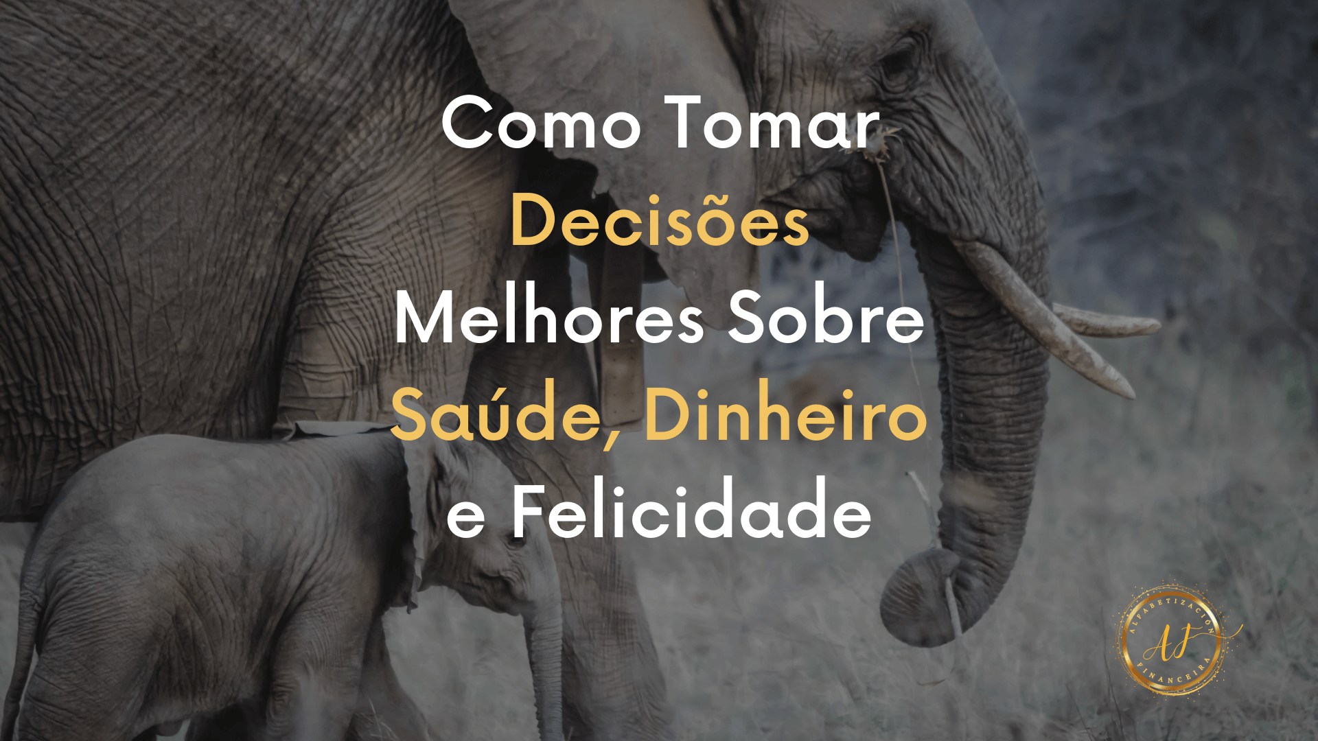 Como Tomar Decisões Melhores Sobre Saúde, Dinheiro e Felicidade